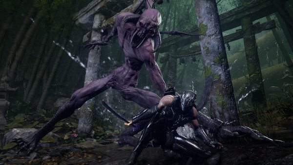 忍者龙剑传4/NINJA GAIDEN 4(图4)