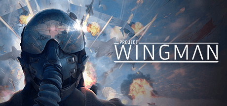 僚机计划/Project Wingman（更新v2.1.0）(图1)