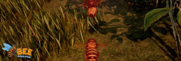 蜜蜂模拟器/ Bee Simulator(图8)