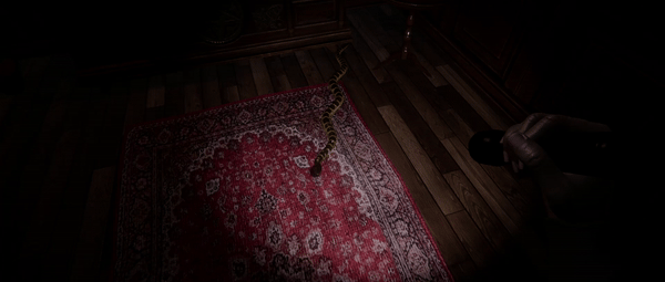 尸境求生/Mansion of the Dead(图4)