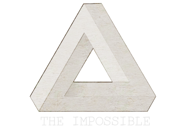 不可能/THE IMPOSSIBLE(图2)