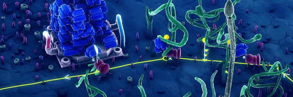 蚁托邦/Microtopia（更新Build.17953427）(图3)