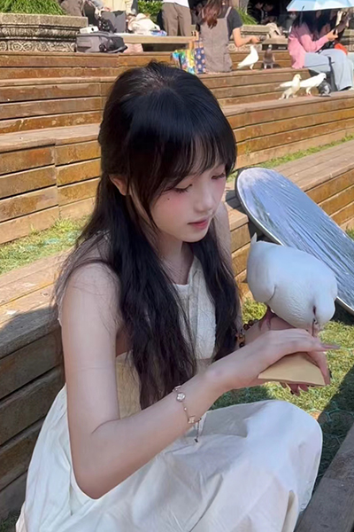 做你的猫/BeYourCat(图4)