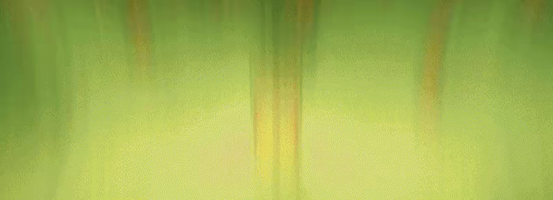 蜜蜂vs僵尸/Bees vs Zombees(图2) 蜜蜂vs僵尸/Bees vs Zombees(图2)