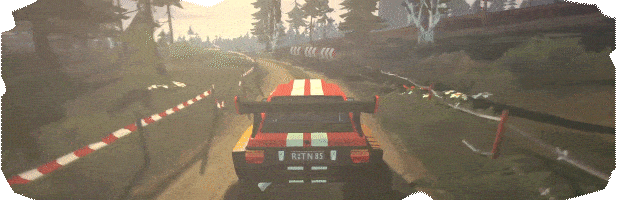 驾驶拉力赛/DRIVE Rally(图6)