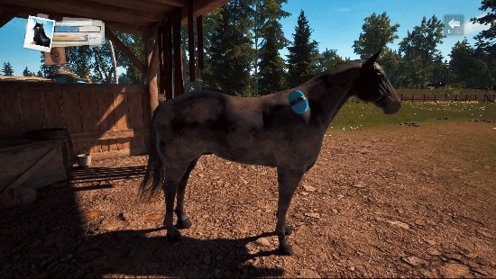 风暴：深厚友谊的开始 重制版/Windstorm: Start of a Great Friendship – Remastered(图3)