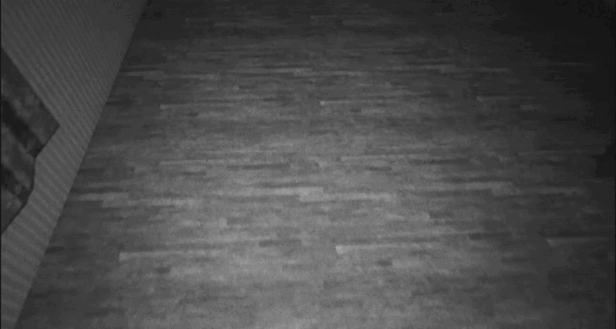 玩偶冒名者/Doll Impostor(图12)