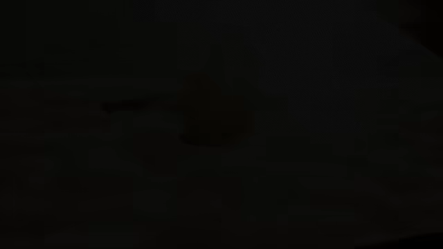 合金装备3：重制版/METAL GEAR SOLID Δ: SNAKE EATER(图2)