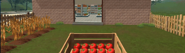 农场与超市模拟器/Farming & Supermarket Simulator(图6)