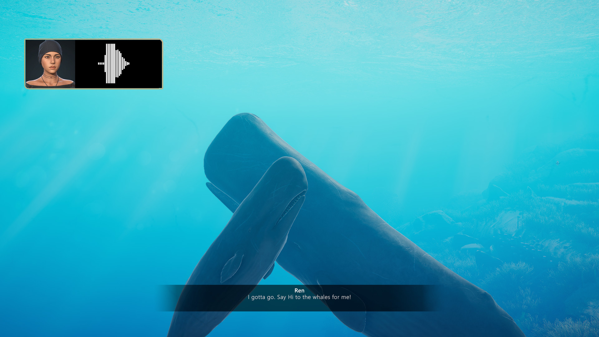 深海超越/Beyond Blue（整合拍照模式）(图1)