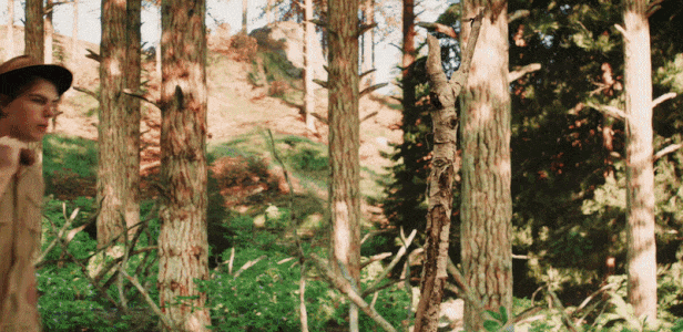 护林员模拟器/Forest Ranger Simulator(图4)