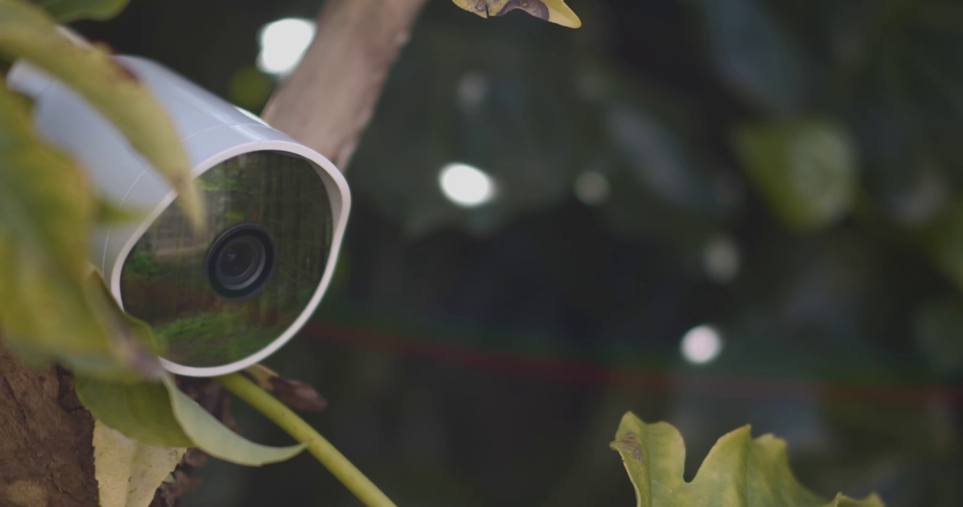 血岸岛/Bloodshore(图6)