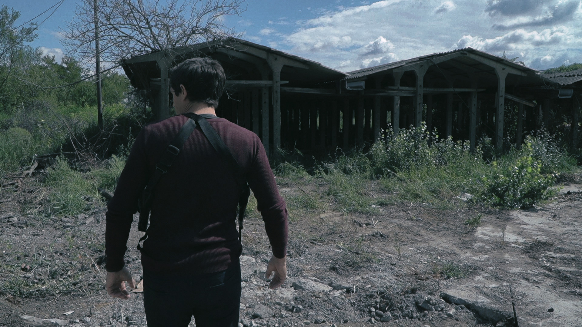 迷惑/Deluded(图3)