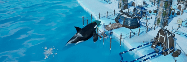 企鹅联合王国 /United Penguin Kingdom(图4)