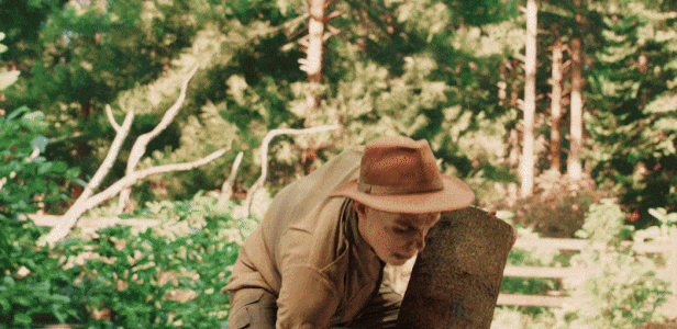 森林护林员模拟器/Forest Ranger Simulator(图4)