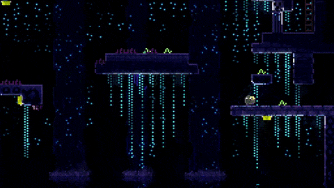 动物井 /ANIMAL WELL(图4)