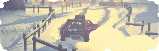 驾驶拉力赛/DRIVE Rally(图8)