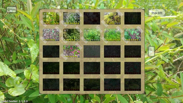 昆虫探寻者/Insect Seeker(图1) 昆虫探寻者/Insect Seeker(图1)