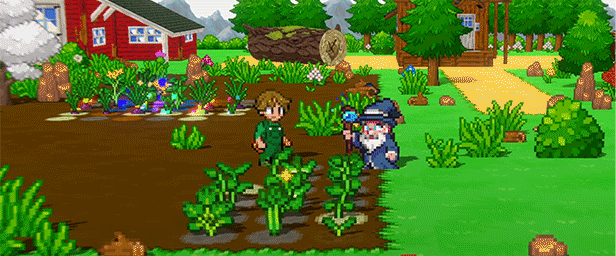 玉米地/Cornucopia(图2)