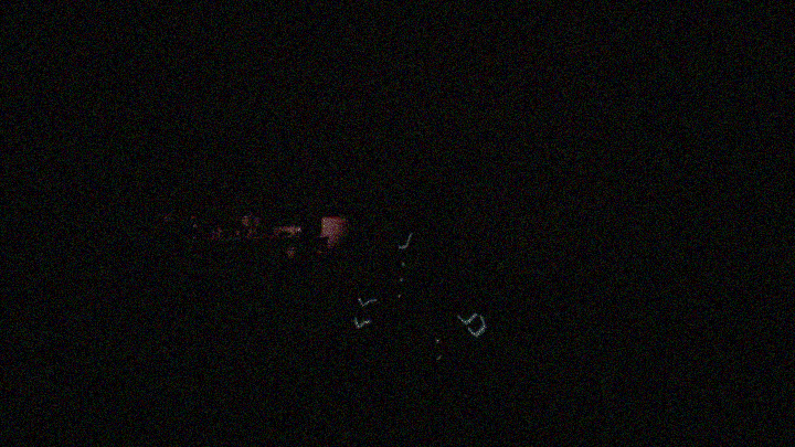 锋爪迷踪/Mysteries Of FangClaw(图2)