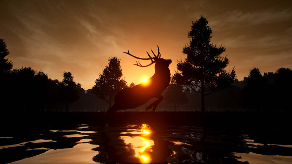 小鹿旅程/Deer Journey(图1)