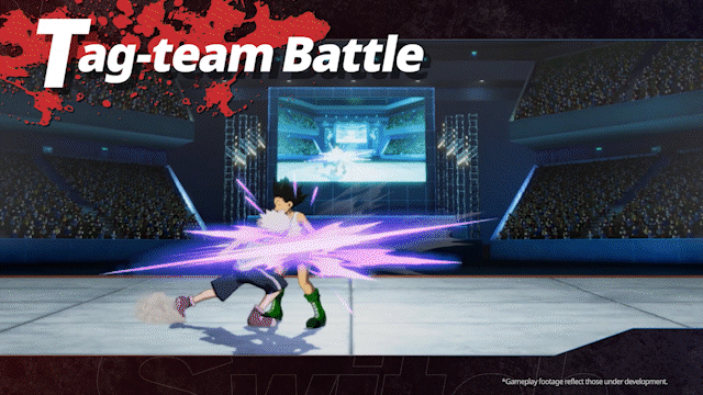 全职猎人：NEN×IMPACT/HUNTER×HUNTER NEN×IMPACT(图3)