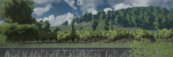 环法自行车赛2024/Tour de France 2024(图2)