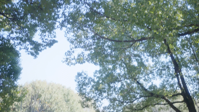 女神保卫战：我的同居女神竟是小姨子(图5)