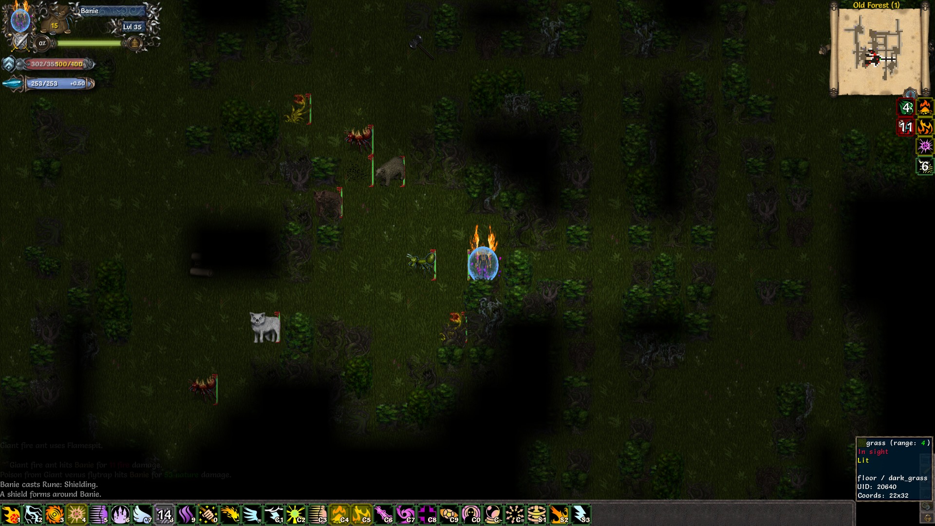 马基埃亚尔的传说/Tales of MajEyal(图5)