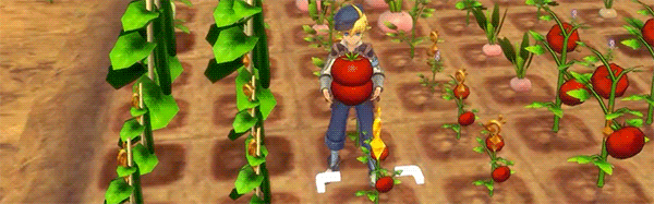 符文工厂5/Rune Factory 5(图4)