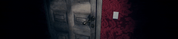 被诅咒的遗产/The Cursed Legacy(图7)