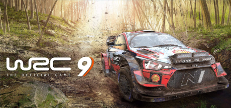 世界汽车拉力锦标赛9/WRC 9 FIA World Rally Championship(图1)