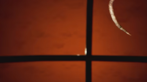 后室公司/Backroom Company(图6)