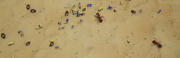 地下蚁国/Empires of the Undergrowth(更新v1.101071)(图5)