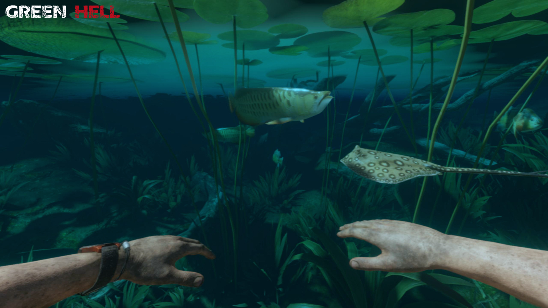 丛林地狱/绿色地狱/Green Hell（更新v2.6.3）(图7)