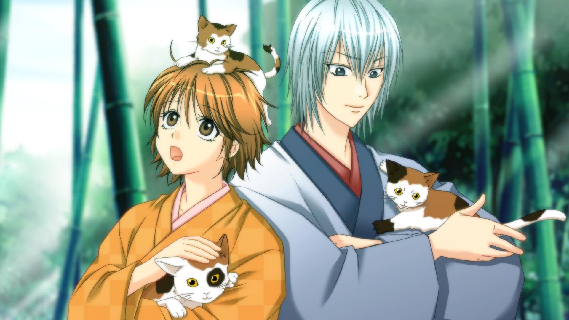 幕末恋华新选组/Bakumatsu Renka SHINSENGUMI(图5)