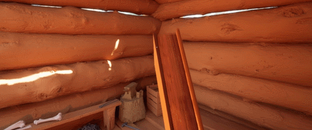 未见之界/The Axis Unseen（更新v1.11）(图11)