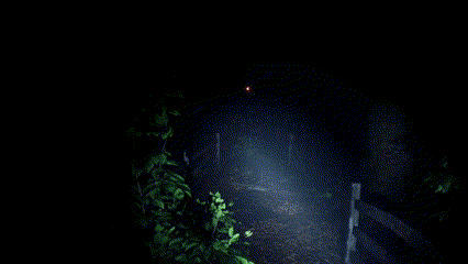 Exanimum：无声的呼唤(图2)