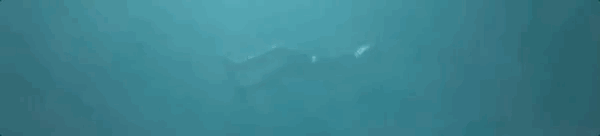 伊甸门生命边界/EDENGATE The Edge of Life(图3)