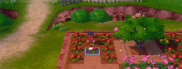 牧场物语 来吧！风之繁华集市/STORY OF SEASONS: Grand Bazaar(图3)