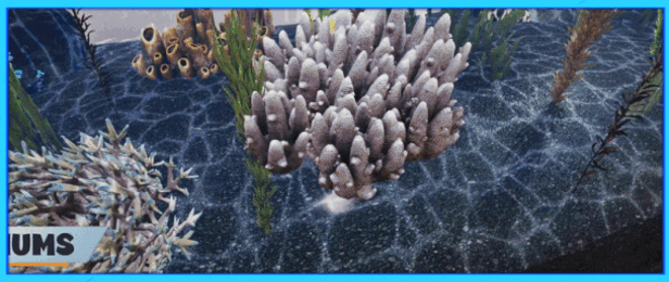 水生商店模拟器/Aquatic Store Simulator（更新Build.19384460）(图2)