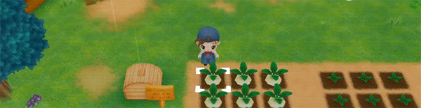 牧场物语:重聚矿石镇(图2) 牧场物语:重聚矿石镇(图2)