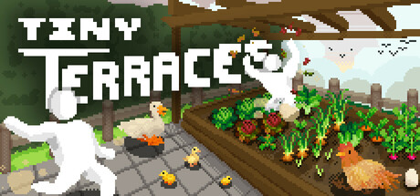 小梯田/Tiny Terraces(图1)