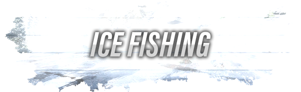 终极钓鱼模拟/Ultimate Fishing Simulator（更新v2.3.23）(图2)