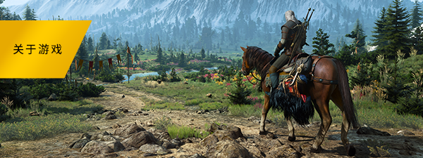 巫师3：狂猎-次世代完全版/The Witcher 3: Wild Hunt（v4.04）(图5)