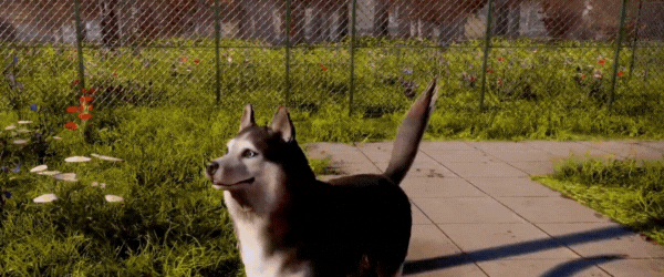 动物收容所2/Animal Shelter 2(图7)