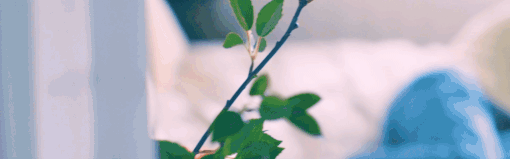 太轻易坠入爱河/Love Too Easily(图1)