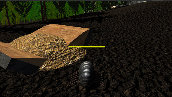 昆虫生活模拟器/Insect Simulator(图7)