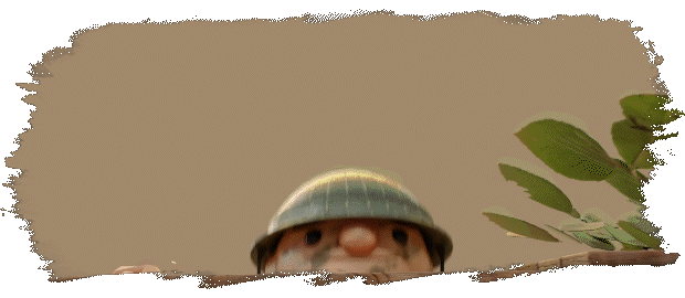 北部塔防/诺森德塔防/Northend Tower Defense(图7) 北部塔防/诺森德塔防/Northend Tower Defense(图7)