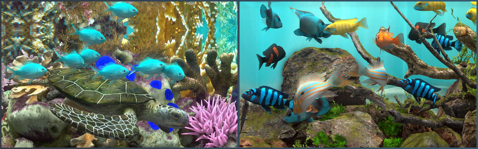 玻璃背后:水族馆模拟器/Behind Glass: Aquarium Simulator(图2) 玻璃背后:水族馆模拟器/Behind Glass: Aquarium Simulator(图2)